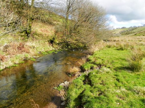 71.-Flowing-through-Woolcombe-Allotment-2