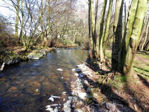 71.-Flowing-to-Bossington-2
