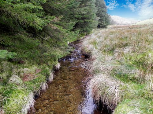 71.-Looking-upstream-from-Kinsford-Water-Footbridge-B-2