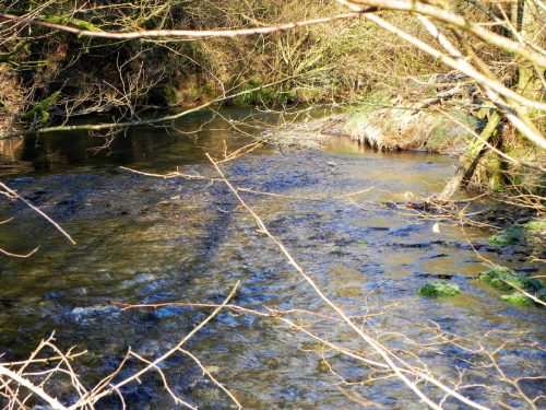 71.-Looking-upstream-from-Witheridge-Footbridge-2