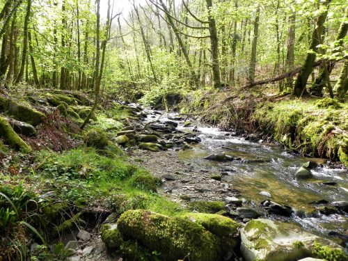 71.-Upstream-from-Mill-Farm-2