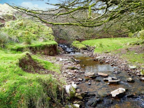 71.-Upstream-from-Willingford-Farm-2