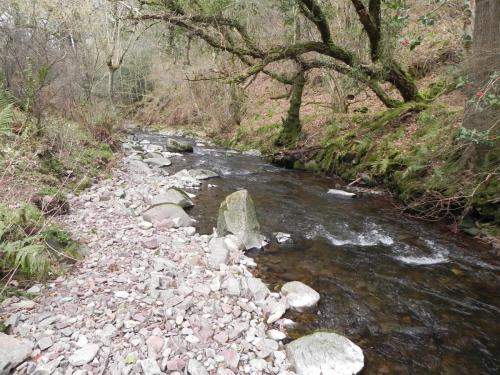 72.-Downstream-from-East-Water