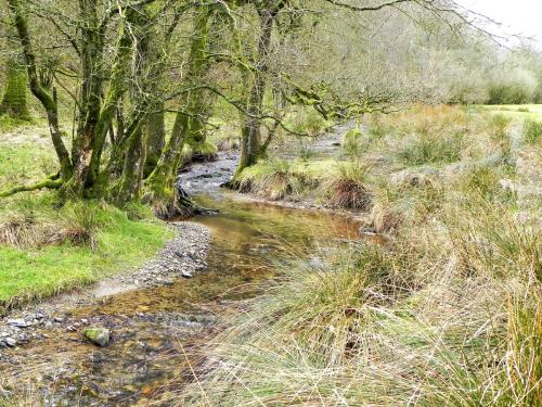 72.-Downstream-from-Withycombe-2