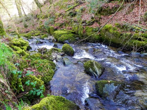 72.-Flowing-through-Combepark-2