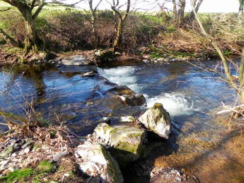 72.-Flowing-to-Bossington-2