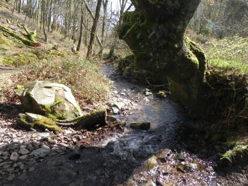 72.-Looking-downstream-from-Ford-below-Berry-Castle-Combe