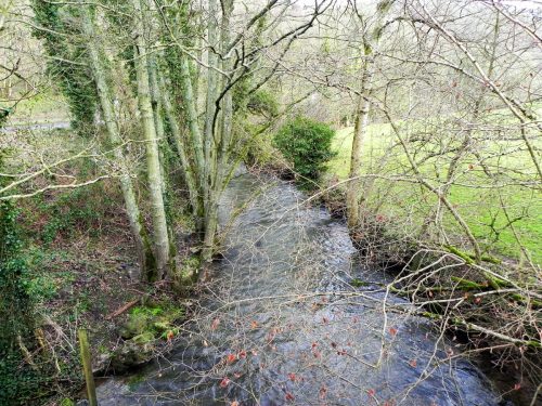 72.-Looking-downstream-from-Tuckingmill-A396-Road-Bridge-2