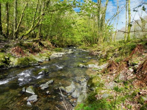 72.-Upstream-from-Mill-Farm-2