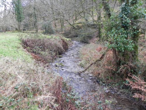 73.-Downstream-from-Berry-Castle-Combe