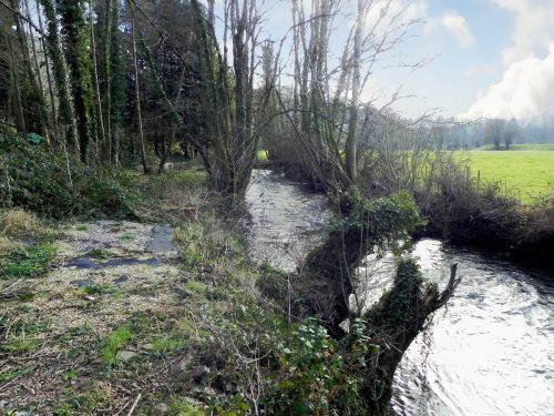 73.-Downstream-from-Tuckingmill-A396-Road-Bridge-2