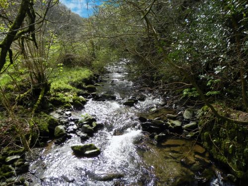 73.-Looking-upstream-from-Mill-Farm-ROW-Bridge-2