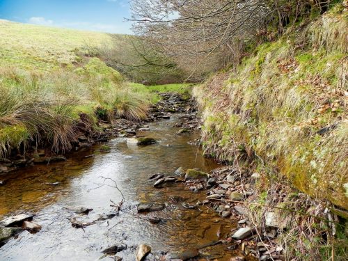 73.-Upstream-from-Willingford-Farm-2