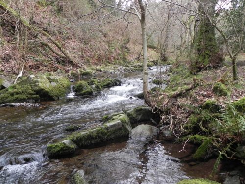 74.-Downstream-from-East-Water