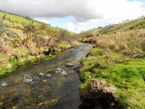 74.-Flowing-through-Woolcombe-Allotment-2