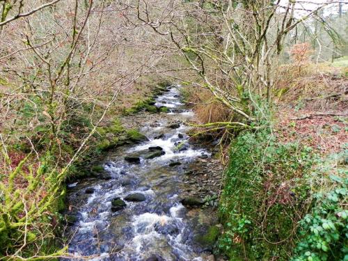 74.-Looking-Upstream-from-Combe-Park-Bridge-2