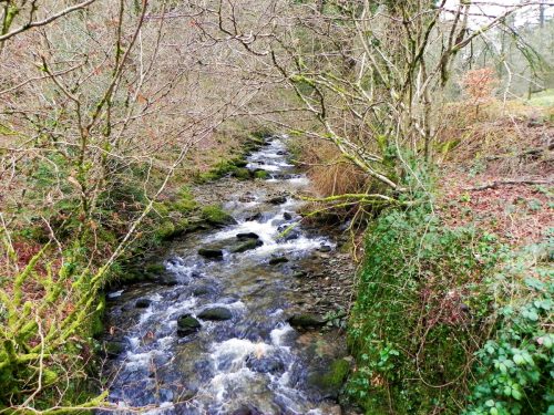 74.-Looking-Upstream-from-Combe-Park-Bridge-2