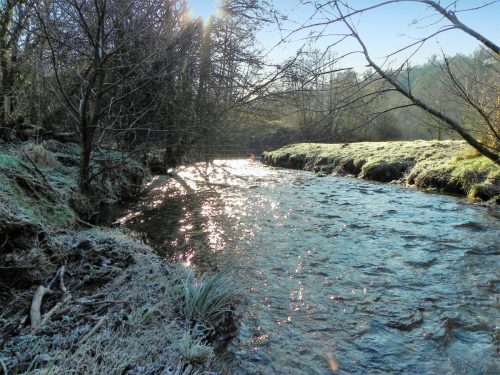 74.-Looking-downstream-from-Witheridge-Footbridge-2