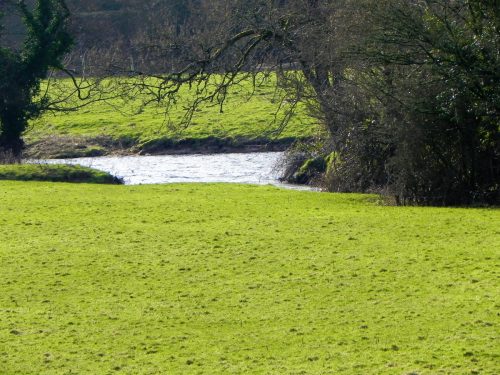 74.-River-Batherm-confluence-with-River-Exe-2