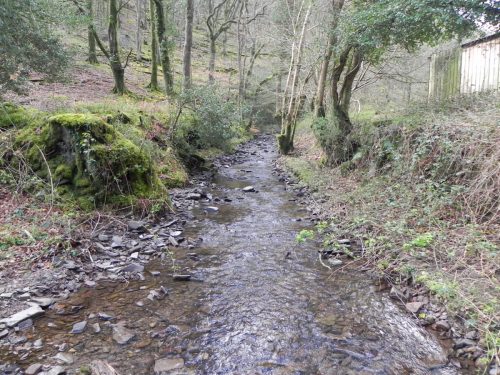 75.-Downstream-from-Berry-Castle-Combe