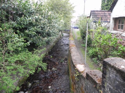 75.-Looking-downstream-from-ROW-Footbridge-No.-3319