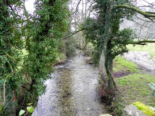 75.-Looking-upstream-from-Coppleham-Bridge-2