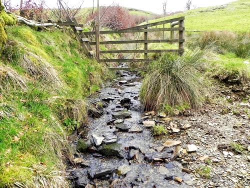 75.-Small-stream-joins-from-the-north-2