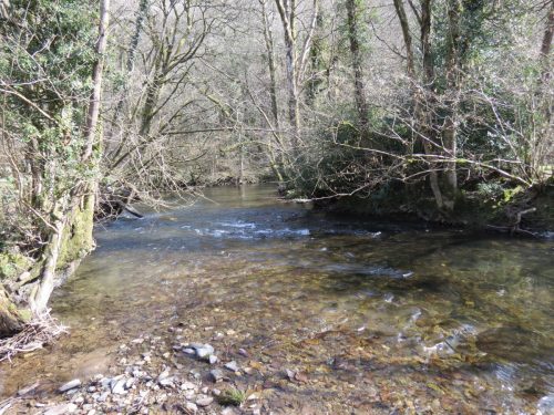 75.-Upstream-from-Hele-Bridge-6