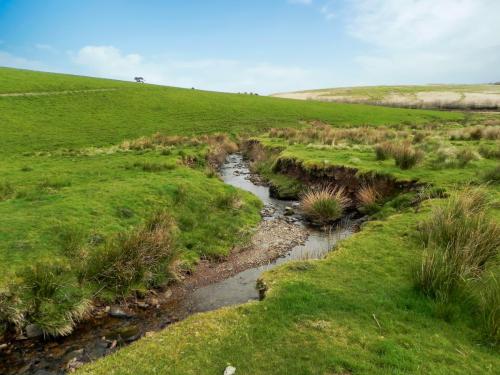 75.-Upstream-from-Willingford-Farm-2