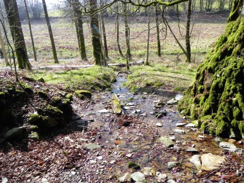 75.-Waters-join-from-Picked-Stones-2