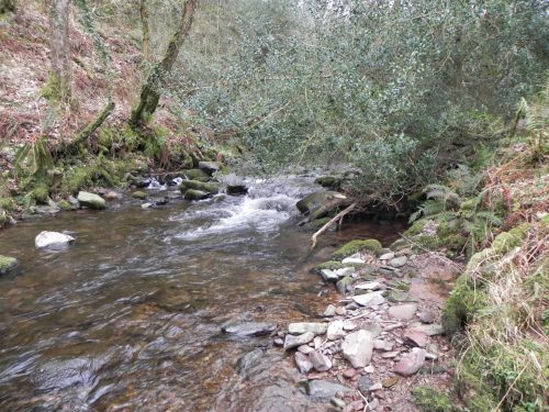 76.-Downstream-from-East-Water