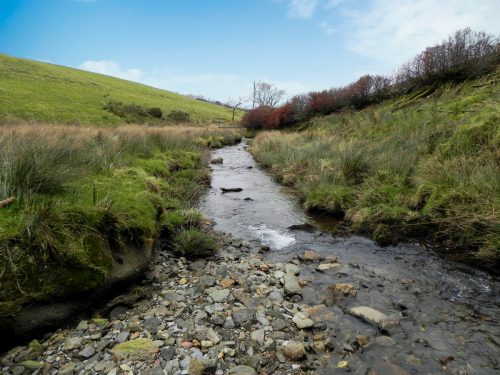 76.-Downstream-from-Pine-Wood-2