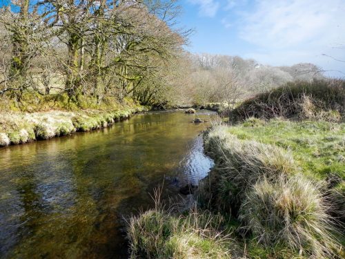 76.-Downstream-from-Saw-Mill-Weir-2