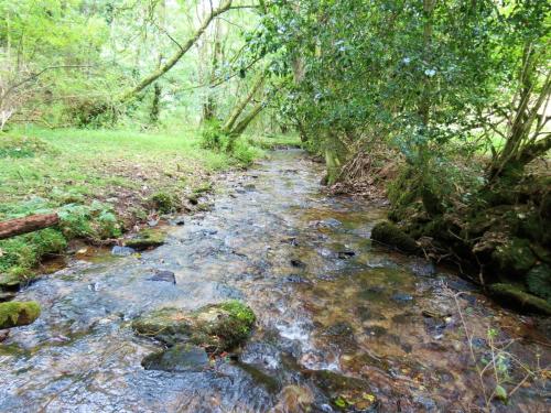 76.-Flowing-below-Stolford-Wood-2