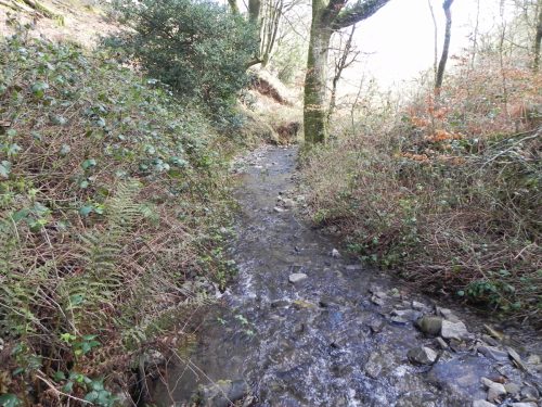76.-Flowing-through-East-Lucott-Wood