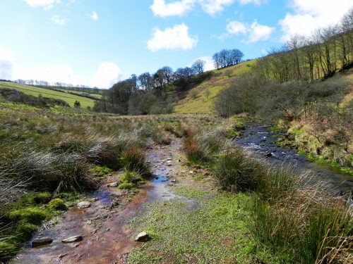 76.-Flowing-through-Woolcombe-Allotment-2