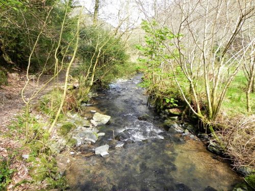 76.-Looking-downstream-from-Mill-Farm-ROW-Bridge-2