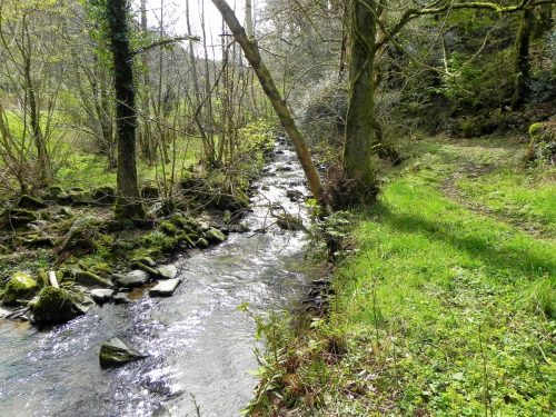77.-Downstream-from-Mill-Farm-2