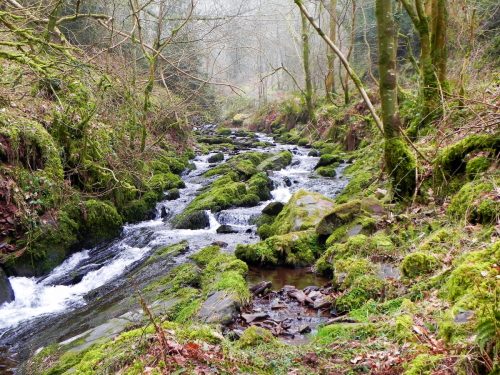 78.-Flowing-through-Sideway-Wood-2