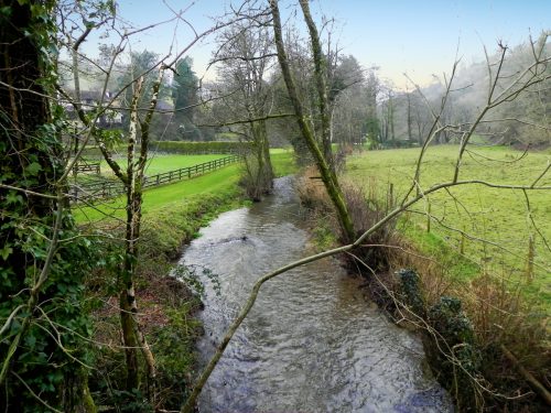 78.-Looking-downstream-from-Coppleham-Bridge-2