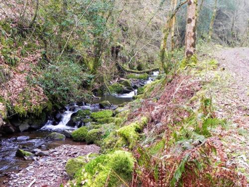 78a.-Upstream-from-Sideway-Wood-Footbridge-A-2