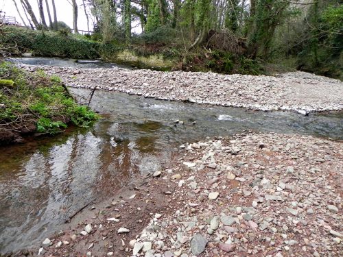 79.-Confluence-with-River-Aller-2