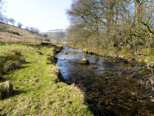 79.-Downstream-from-Bale-Water-join-2