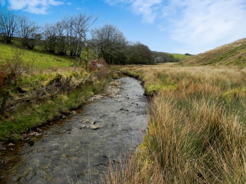 79.-Downstream-from-Pine-Wood-2