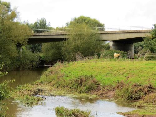 79.-M5-River-Tone-Bridge-downstream-face-2