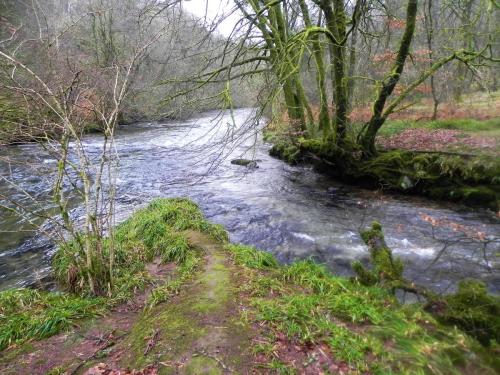 8.-Danes-Brook-confluence-with-River-Barle-2