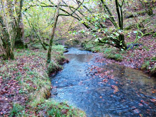 8.-Downstream-from-Venn-Railway-Culvert-15