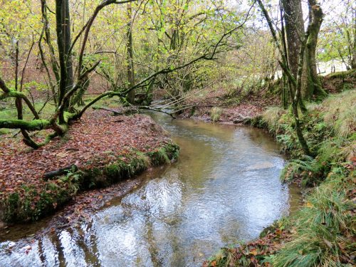 8.-Downstream-from-Venn-Railway-Culvert-16