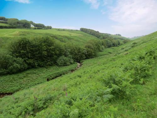 8.-Exe-Valley-looking-downstream-from-Warren-Bridge