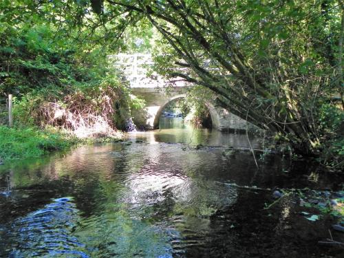 8.-Gardeners-Bridge-downstream-arch-2